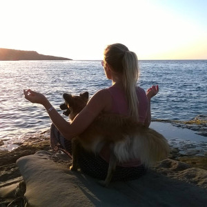 simply-meditating-a-difference-to-dogs-behaviour