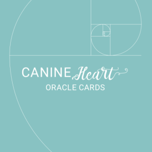 How the Fibonacci Sequence relates to dog training