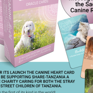 Canine-oracle-cards